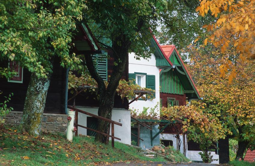 Gasthof Hotel Zum Weinberg Kohfidisch Εξωτερικό φωτογραφία